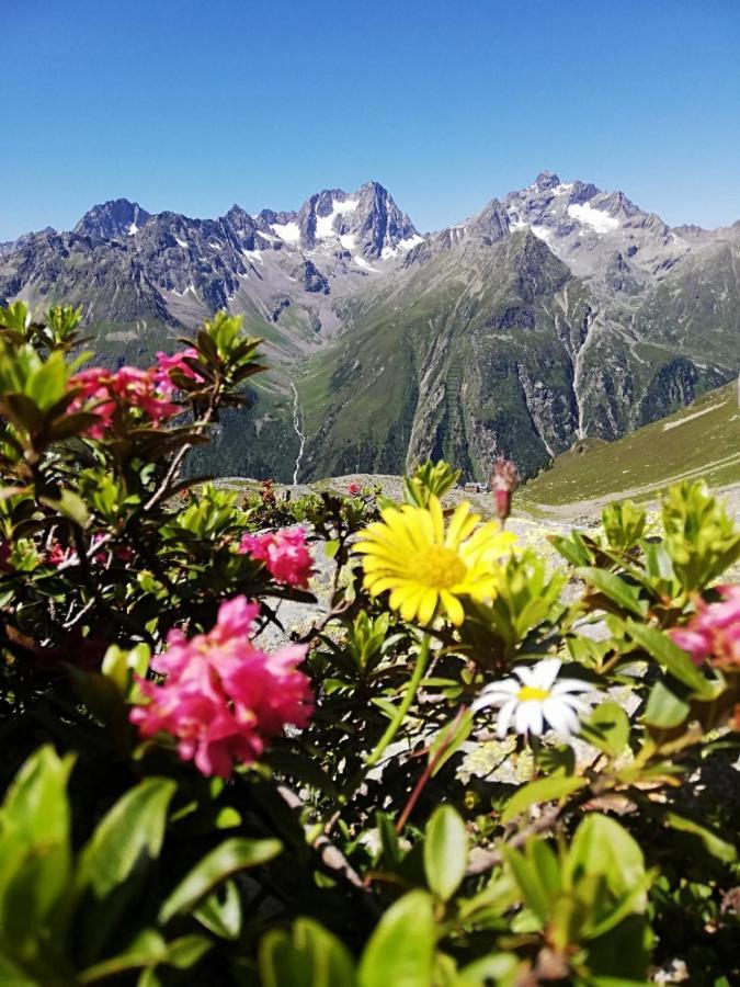 Haus Bergwind Lejlighed Sankt Leonhard im Pitztal Eksteriør billede
