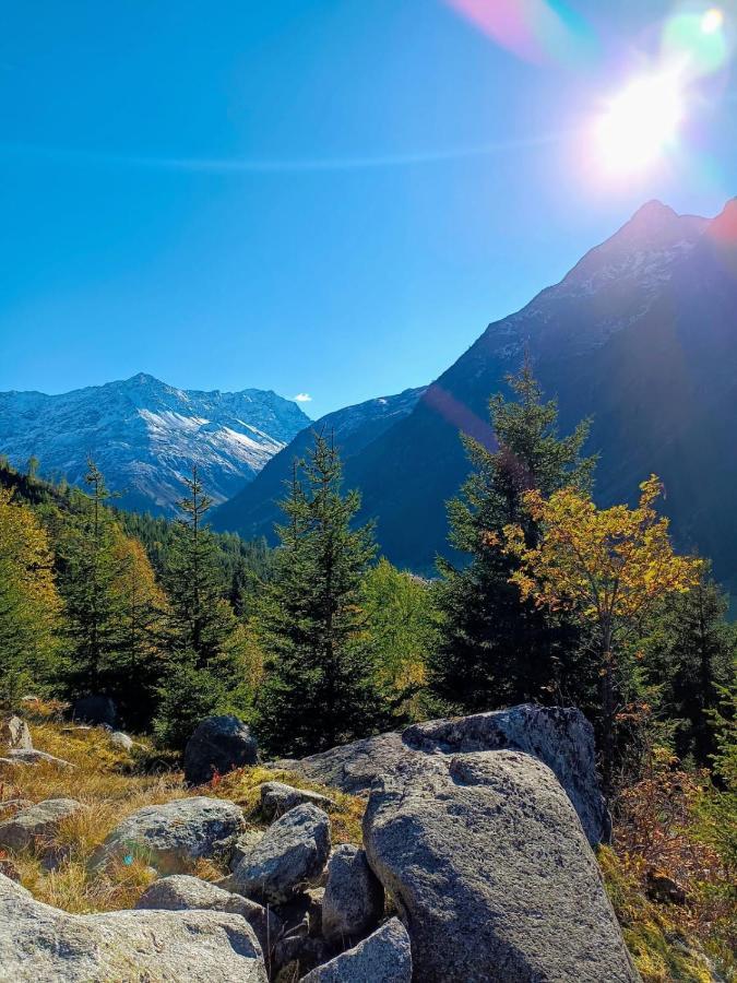 Haus Bergwind Lejlighed Sankt Leonhard im Pitztal Eksteriør billede
